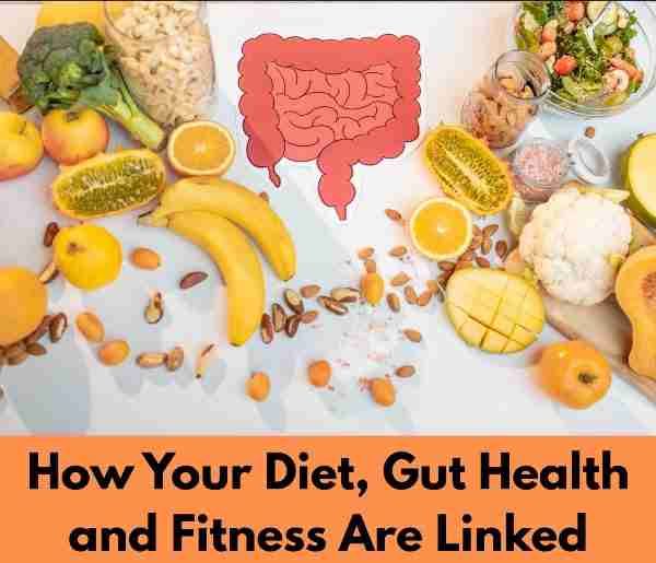 How Your Diet, Gut Health and Fitness Are Linked